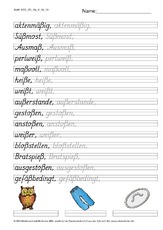 DSS_2S_Bu_ß_Nr_08.pdf